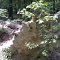 William B. Umstead State Park