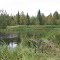 Озеро. 09.2009