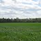 NC Field4 03/24/2011
