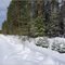 Roads to Russia