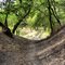 Path
