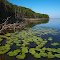 Нижнекамское водохранилище