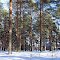Парк в Тарноге_Parco vecchio