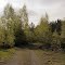 Deserted road