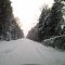 Зимняя дорога. Talvitie. Winter road.