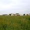 ЛЕНИНГРАДСКАЯ ОБЛАСТЬ. Аэродром в Гостилицах. / Leningrad region. Gostilitsy airfield.