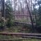 После летнего урагана 2010г. After the summer hurricane of 2010.