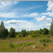 Top of Summer (www.blackred.spb.ru)
