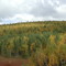 fall colors south of Murmansk