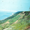 near Tova 1982