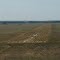 Полоса аэродрома Камень-на-Оби