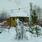 Памятное (Тюм). Снежные скульптуры.