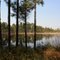 Green Swamp Ecological Preserve