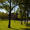 580 Carleton Ct Basking in the Sunshine
