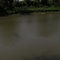 the red river