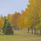 Along the path near Souris Valley Golf Course