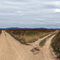 Crossroad in the fields