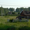 Старый колодец