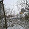 Самолет в кустах-3