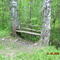 Лесная скамейка/Forest bench