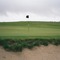 1st Green