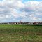 Подмосковье. Царево.