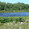 Camp 2 Home Pool