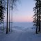   	Деревянская губа. Derevyanskaya (wood) bay.