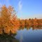 Багряц и золото на пруду.Bagryats and gold on the pond