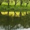 The  Rozhayka River.Reflection