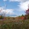 Merrimack, NH