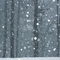 winter shot-Kim snowflake