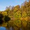 Autumn pond/Осенний пруд