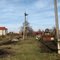 Тула. д.Пахомово - одинокий гусь. 01/11/2010г.