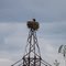 В Малиновском карьере