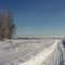 Берники