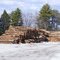 The wood yard in Allenstown where our wood will be taken. During "mud season" the wood will be trucked to mills.