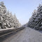 Road to Kirzhach