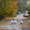 Осень в Подмосковье - Autumn in Moscow province