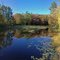 Pond in Autumn