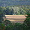 Russian nature near Arkhangelskoye country estate