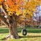 Tire swing as we swing into the winter season.
