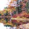 Reflections