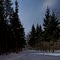 The winter night/Зимняя ночь
