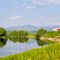 Farm by the river.