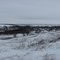 Долотинка