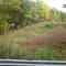 Merrill Creek Fall Colors