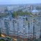 красота