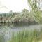 Шумел камыш... Flow on the River Don