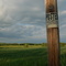 Bucks County field